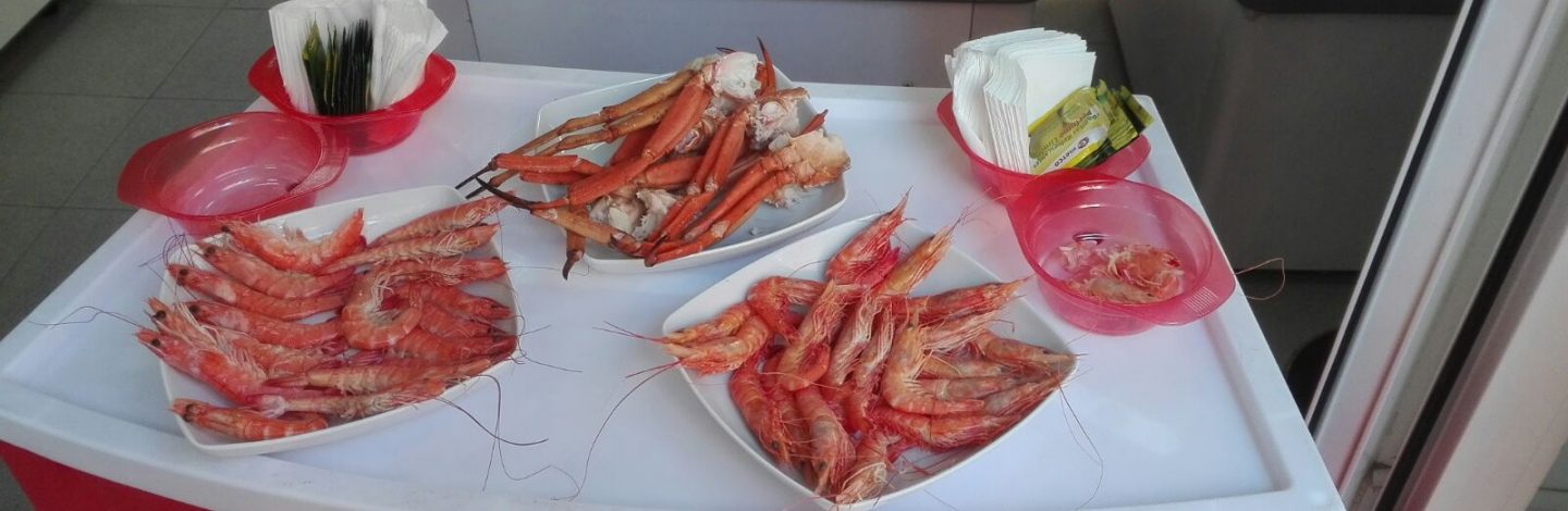 tapas y gastronomía