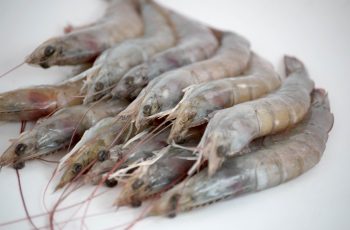Langostino crudo - Cocelang especialistas en mariscos congelados