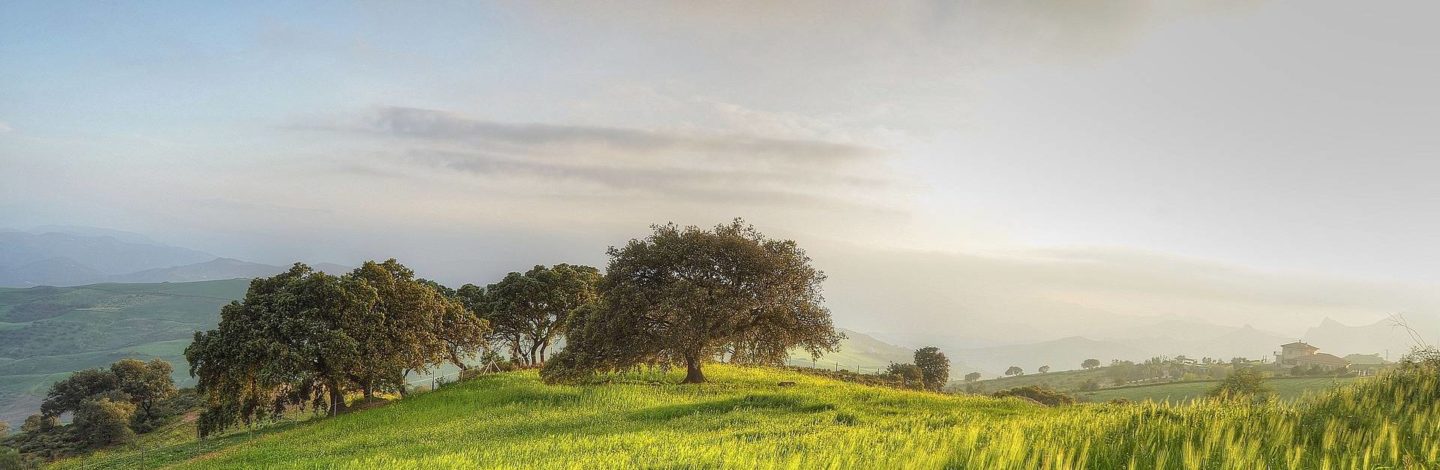 Rincones de Málaga: Antequera - Lugares para visitar en Málaga