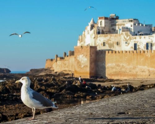 Málaga, zona de paso para los marroquíes residentes en Francia