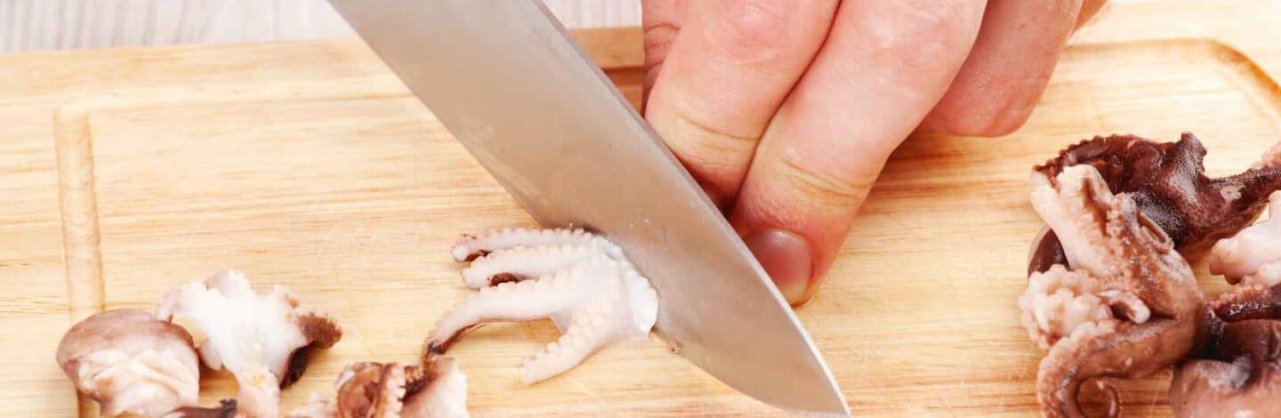 ventajas de trabajar en la hosteleria con potón o pulpo