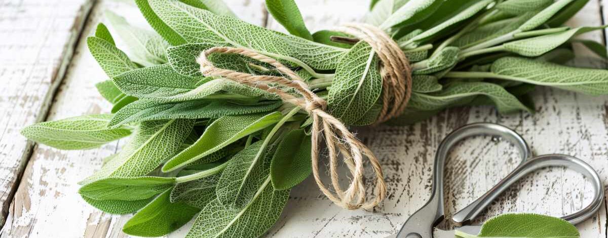 que es el bouquet garni