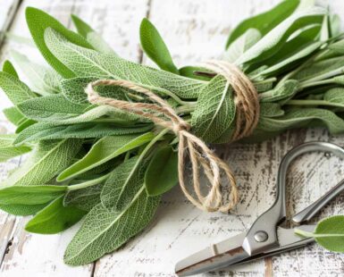 que es el bouquet garni