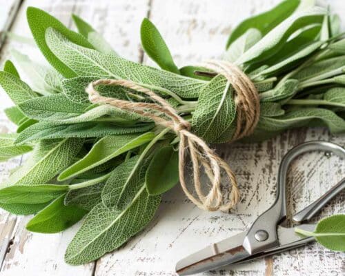 que es el bouquet garni