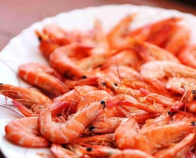 tipos de gambas