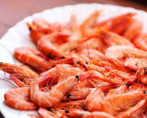 tipos de gambas