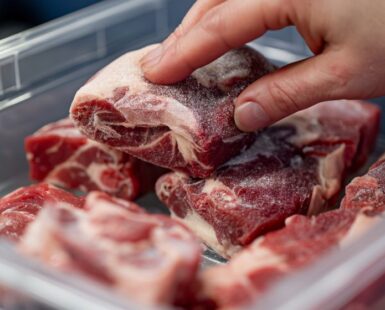 cuanto dura la carne congelada